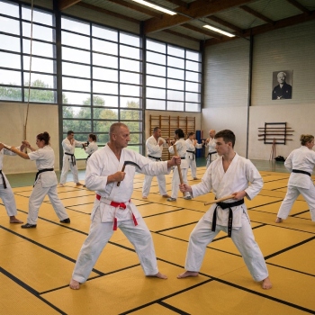 kobudo traditionnel fenouillet