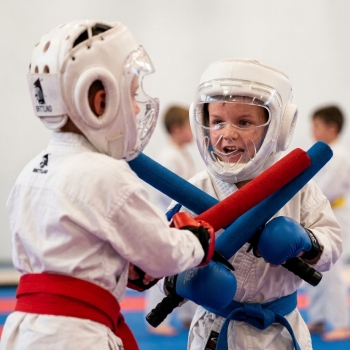 kobudo sportif fenouillet